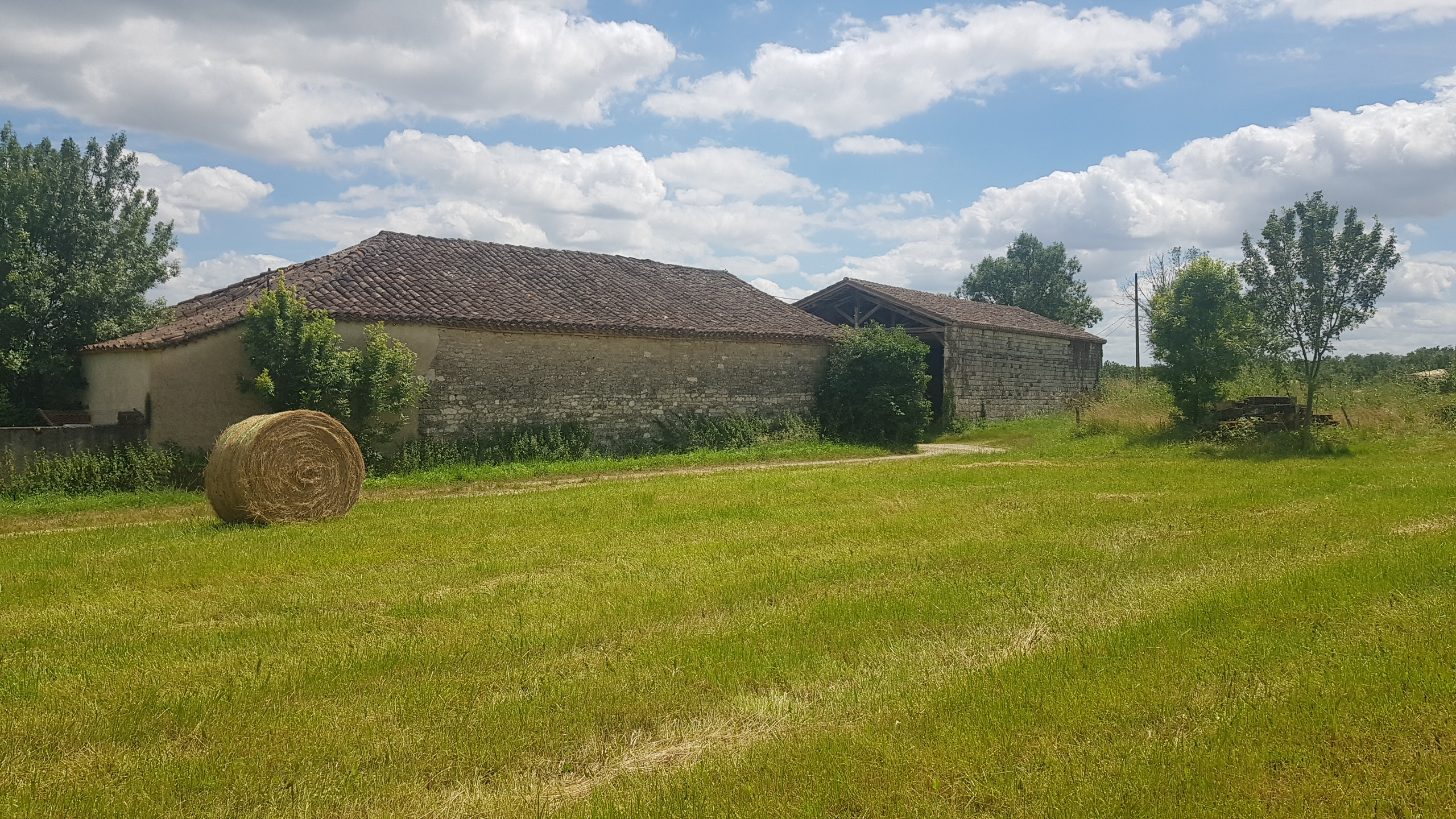 A VENDRE, le Pic du Quercy vous propose, à 10min au nord de Caussade, dans le Quercy, un ensemble immobilier sur 6.5ha environ comprenant:
- une ancienne grange/écurie en pierre de 280m2 (avec CU)
- un bâtiment de stockage de 485m2 fermé en brique avec grands portails
- une grange en pierre attenante de 200m2 environ
- une grange de 100m2 à proximité.
Le tout sur 6.5ha de prairies, terrain plat arboré (idéal chevaux, moutons...).
Trois puits viennent compléter cet ensemble calme et bucolique.
Commerces, services et école à 5min, Cahors à 15min, Montauban à 30min, Toulouse à 1h.

Les informations sur les risques auxquels ce bien est exposé sont disponibles sur le site Géorisques : www.georisques.gouv.fr